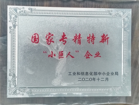 国家专精特精“小巨人”企业